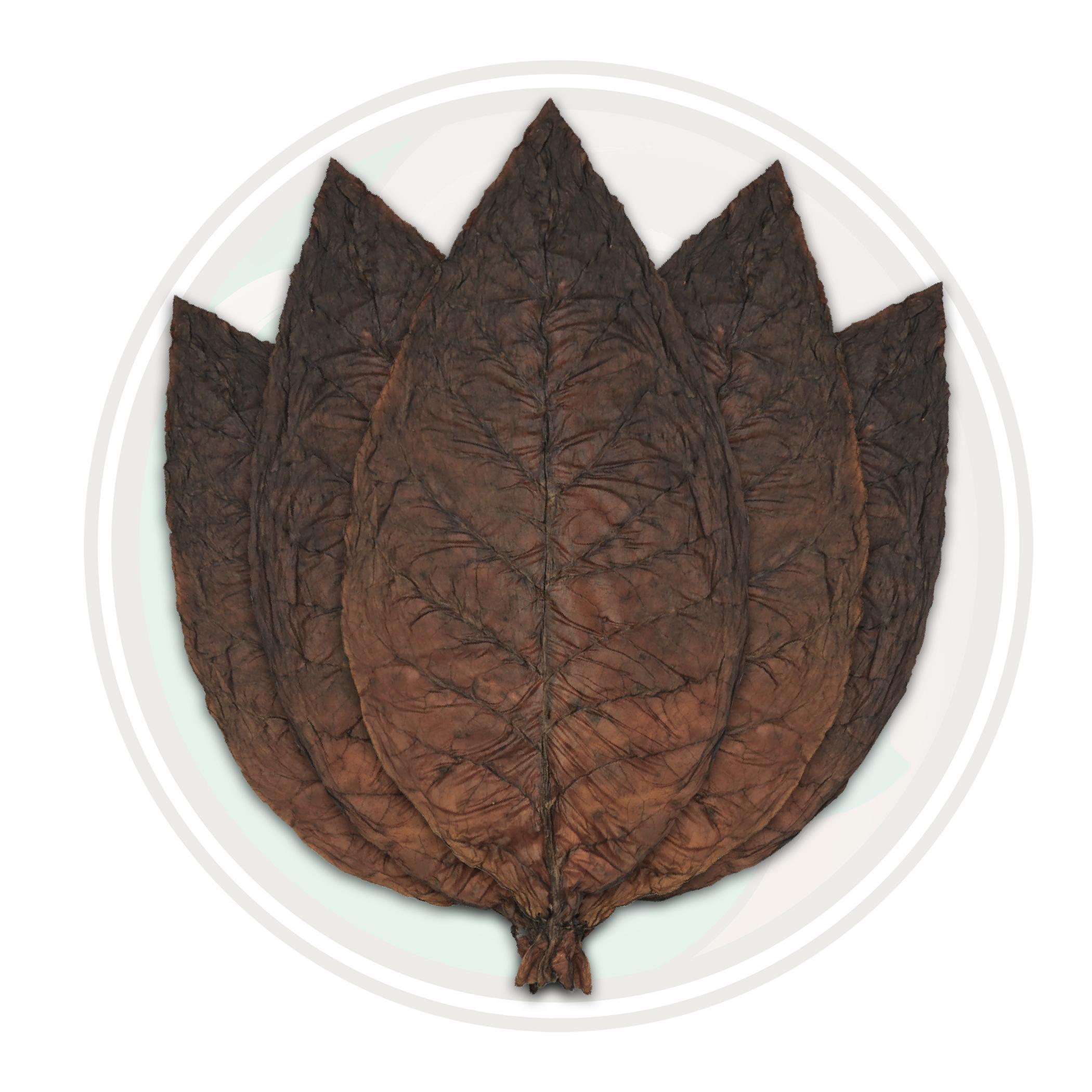 Brazilian Arapiraca Cigar Wrapper Whole Tobacco Leaf